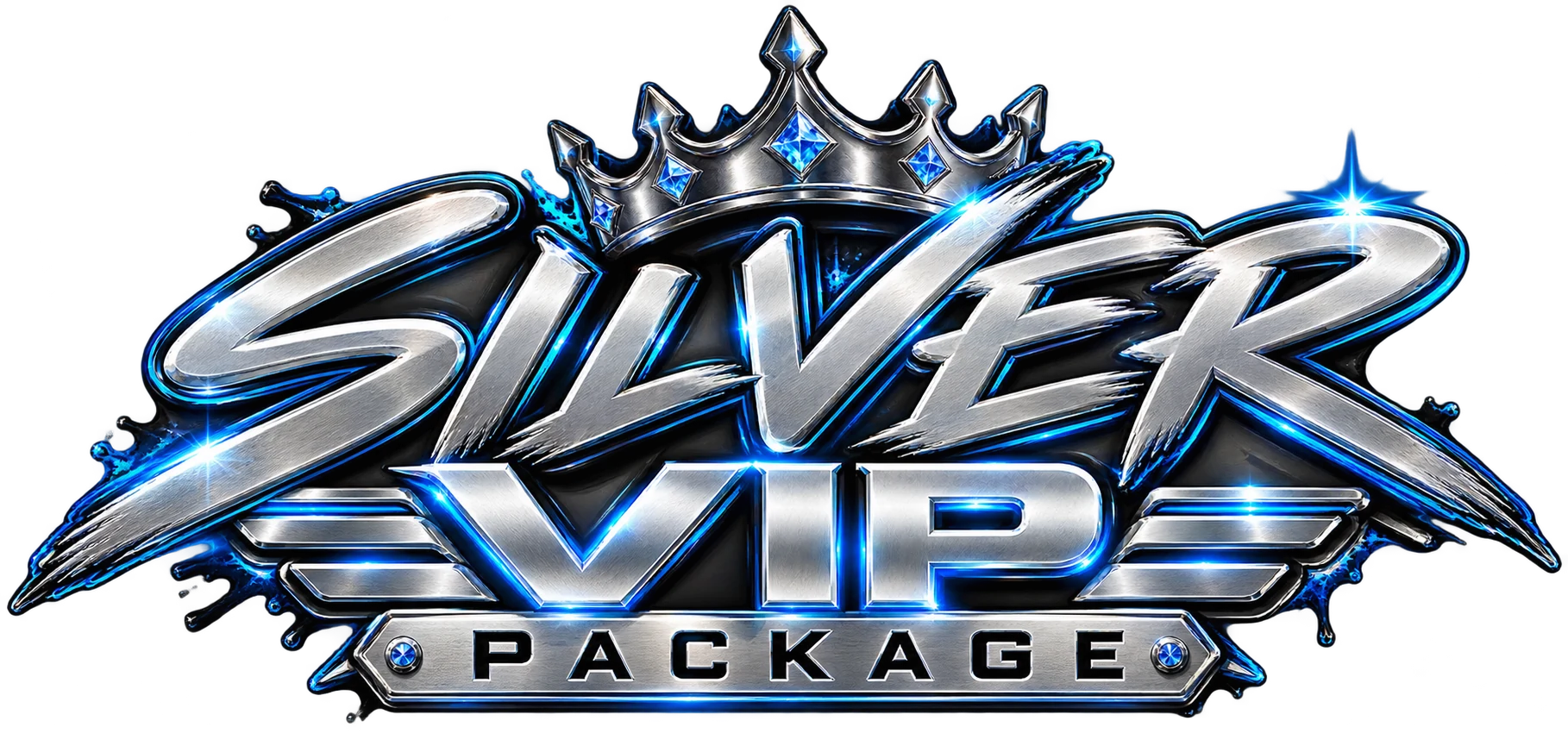 Silver VIP Package